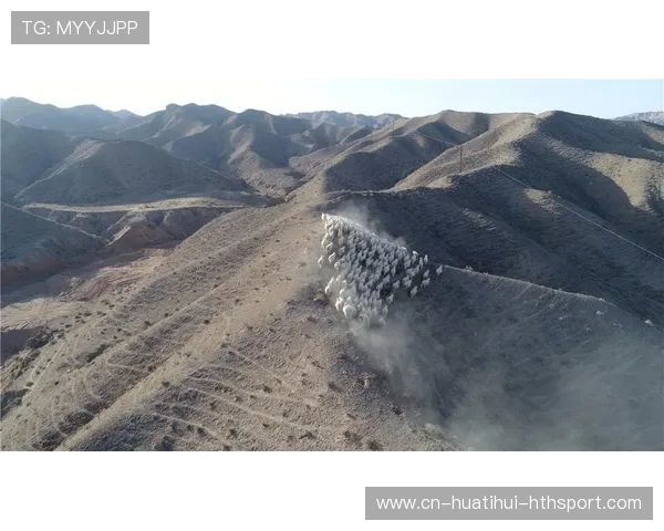 老鹰战术训练：外围防守形态的优化带来更多断球机会